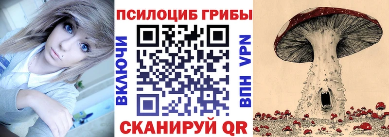 маркетплейс как зайти  Свирск  Псилоцибиновые грибы мицелий 